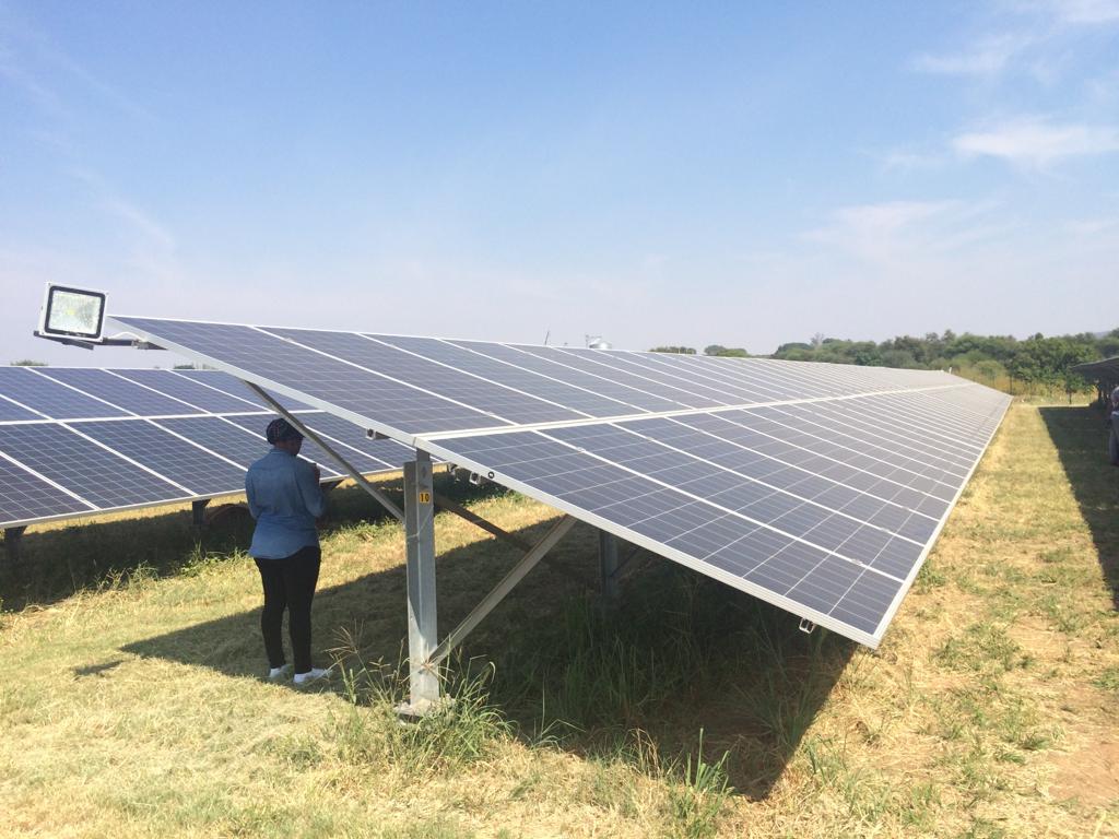 WhatsApp Image 2023 08 24 at 07.36.19 8